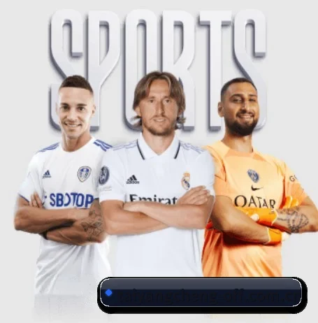 太阳城集团官方网站入口 APP